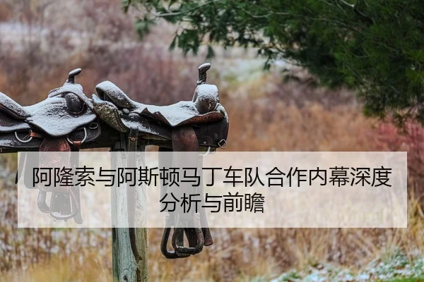 a-long-suo-yu-a-si-dun-ma-ding-che-dui-he-zuo-nei-mu-shen-du-fen-xi-yu-qian-zhan-2-934.jpg